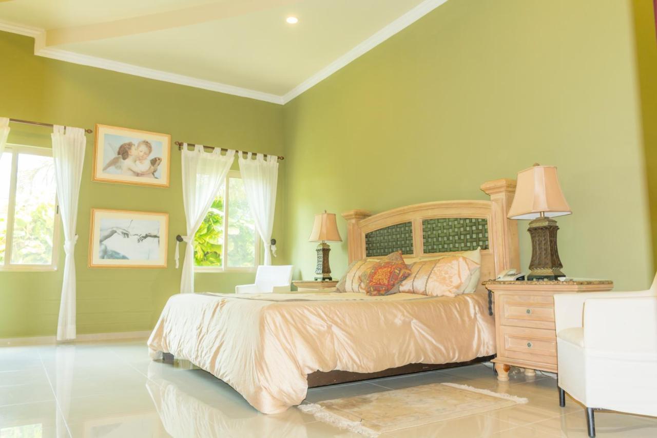 Hotel Boutique Mansion La Ceiba 메리다 외부 사진